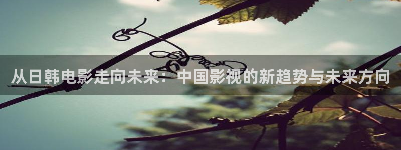 97精品在线视频观看：从日韩电影走向未来：中国影视的新趋势与未来方向