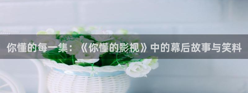 麻豆成人免费视频97：你懂的每一集：《你懂的影视》中的幕后故事与笑料