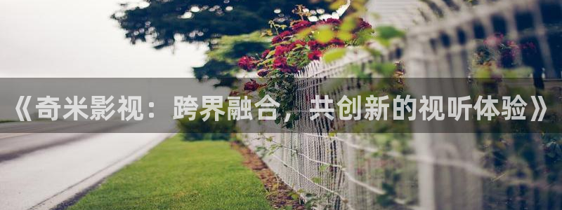97成年人电影：《奇米影视：跨界融合，共创新的视听体验》