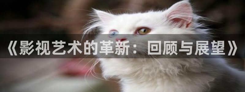 97精品视频：《影视艺术的革新：回顾与展望》