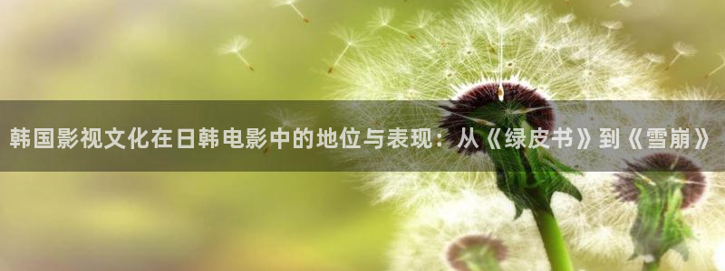中文字幕超碰97：韩国影视文化在日韩电影中的地位与表现：从《绿皮书》到《雪崩》