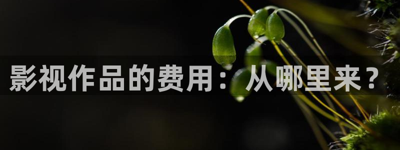 97福利影院午夜：影视作品的费用：从哪里来？